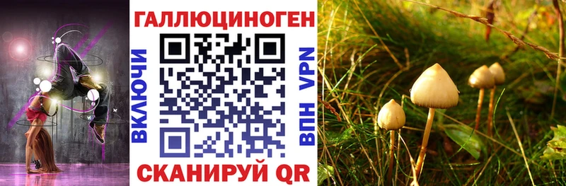 Галлюциногенные грибы прущие грибы  наркота  kraken ТОР  Соль-Илецк 